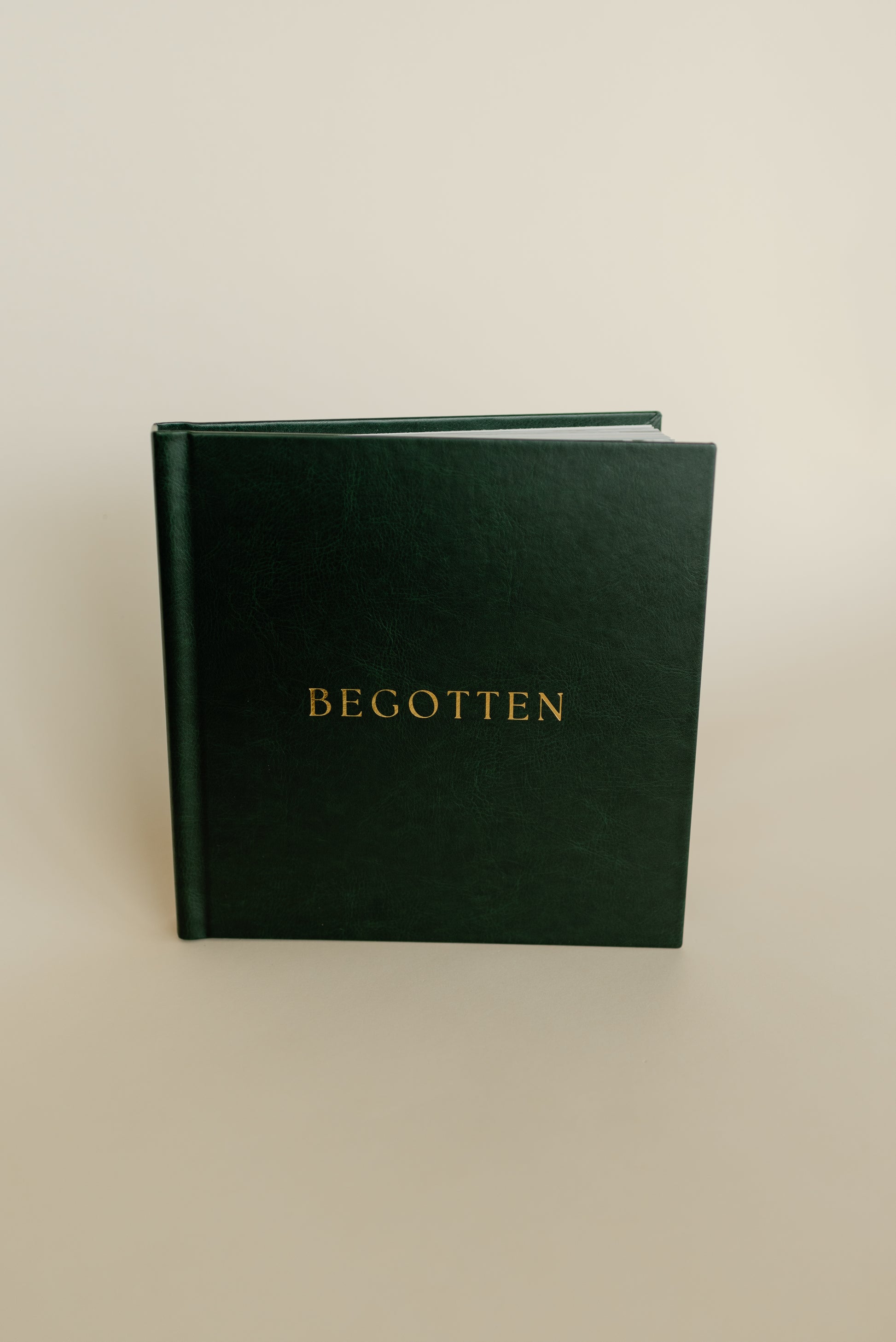 Begotten: Aesthetic Christmas Storytelling in a luxury Coffee Table Book