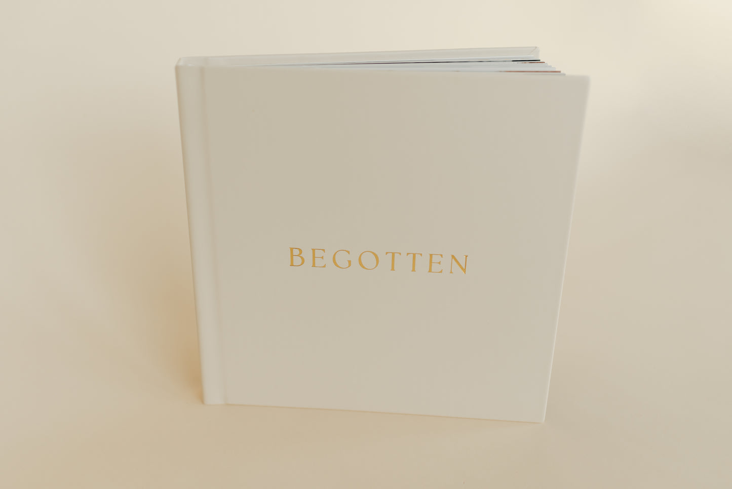 Begotten: Images of Jesus Christ