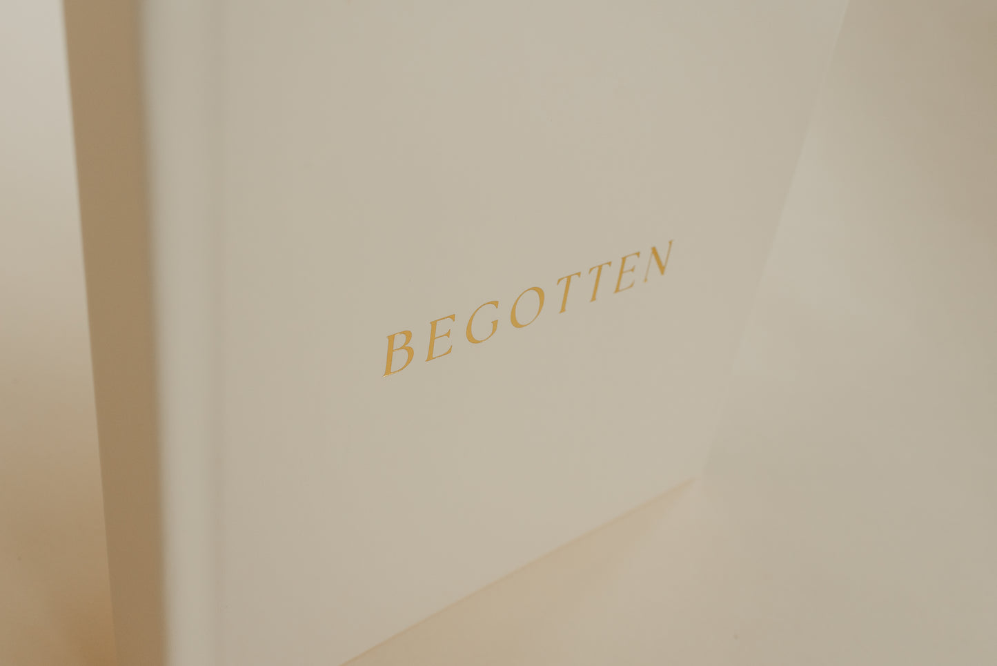 Begotten: Images of Jesus Christ