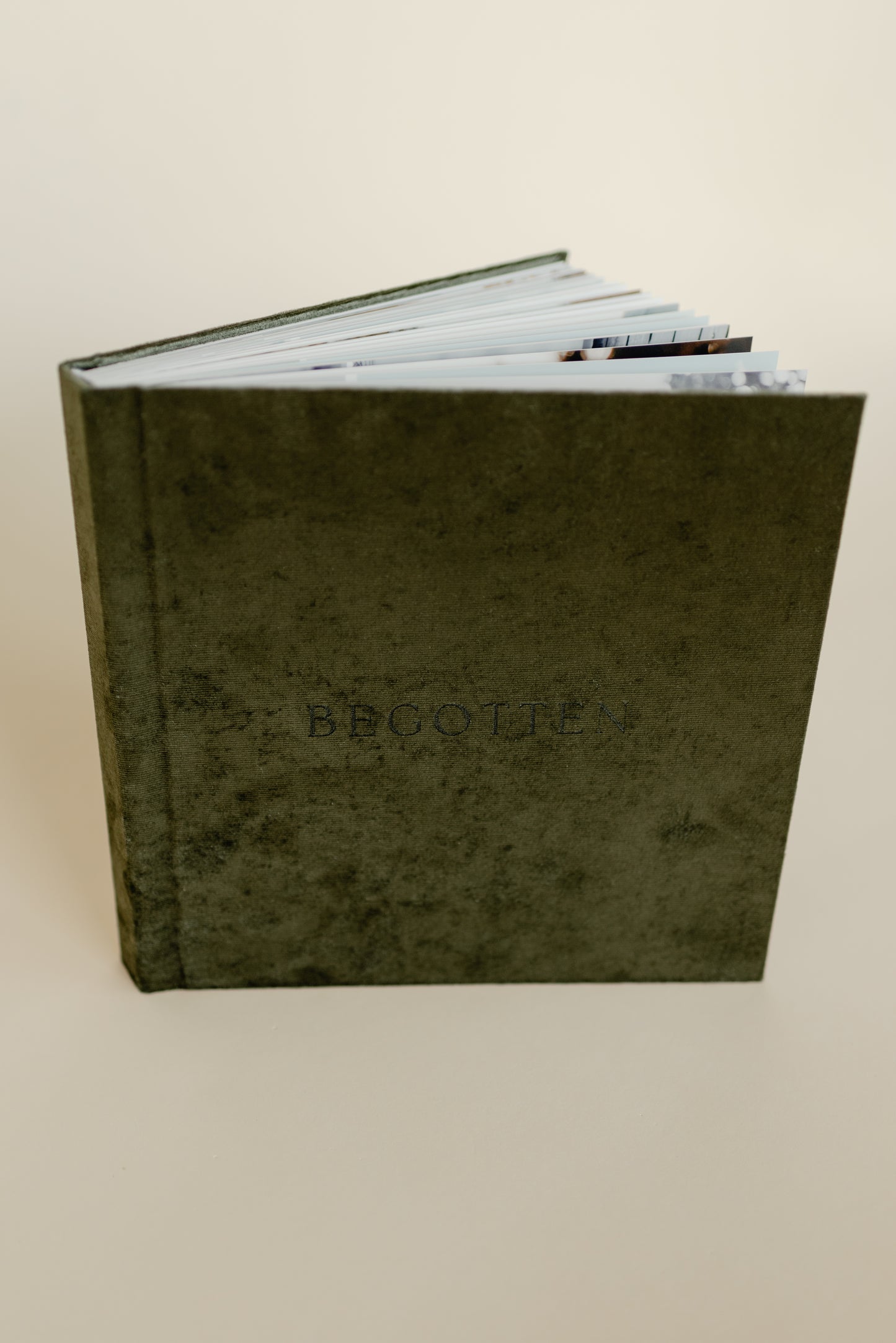 Begotten: Images of Jesus Christ LIMITED EDITION