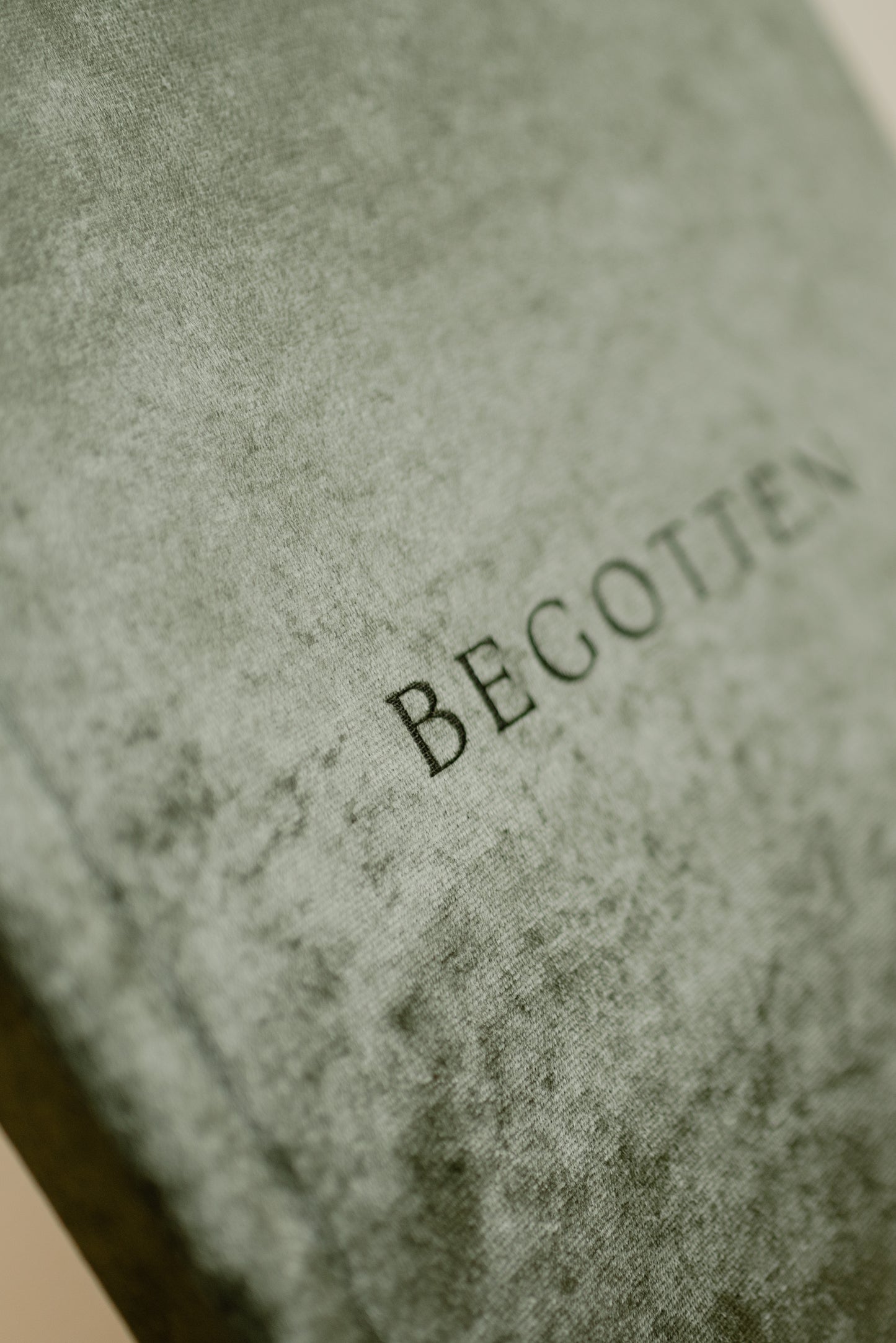 Begotten: Images of Jesus Christ LIMITED EDITION