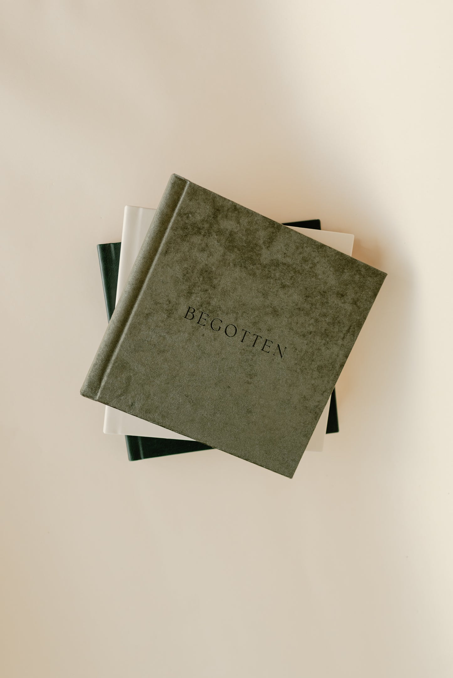 Begotten: Images of Jesus Christ LIMITED EDITION