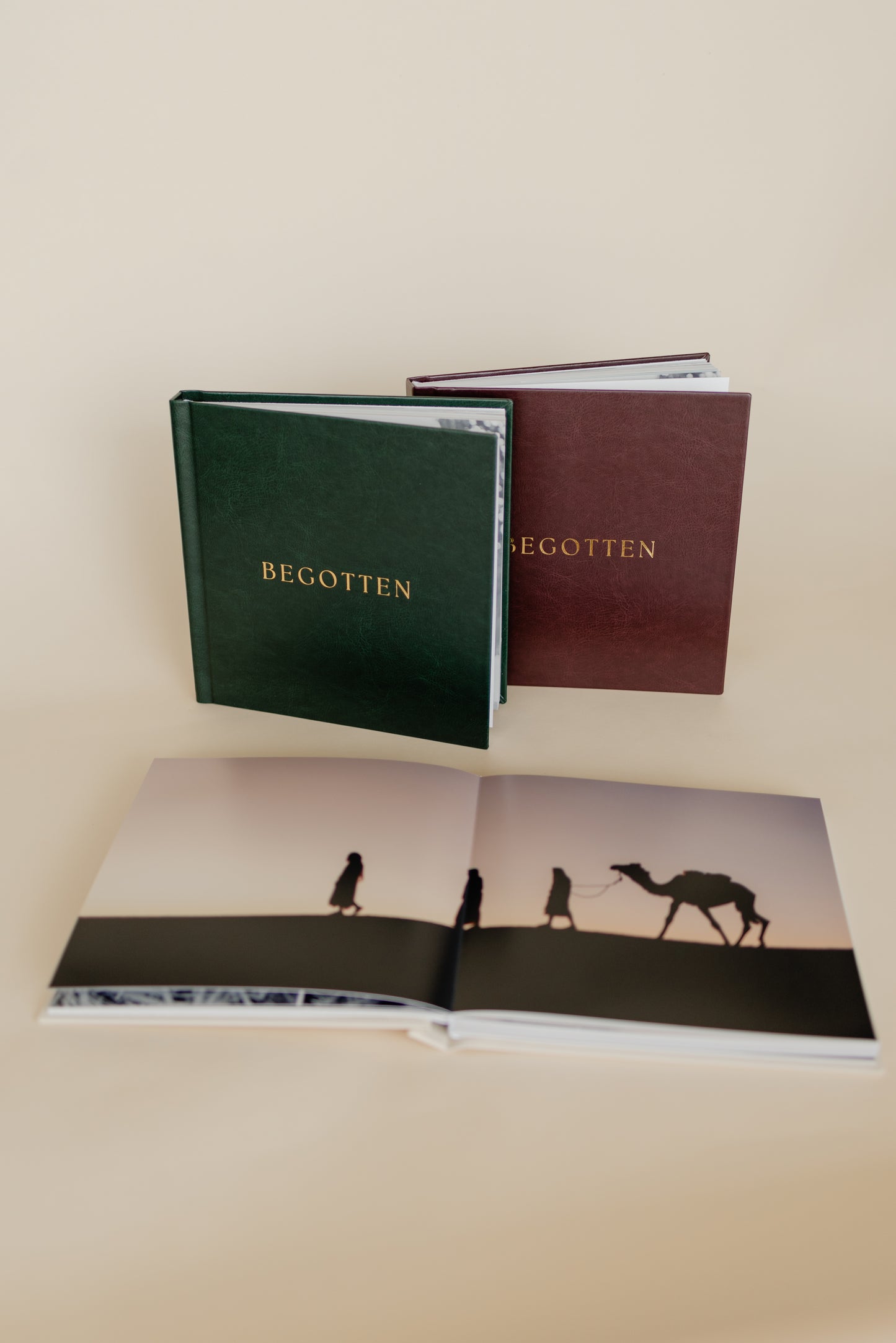 Elegant Christmas Coffee Table Books with photos of Jesus Christ inside