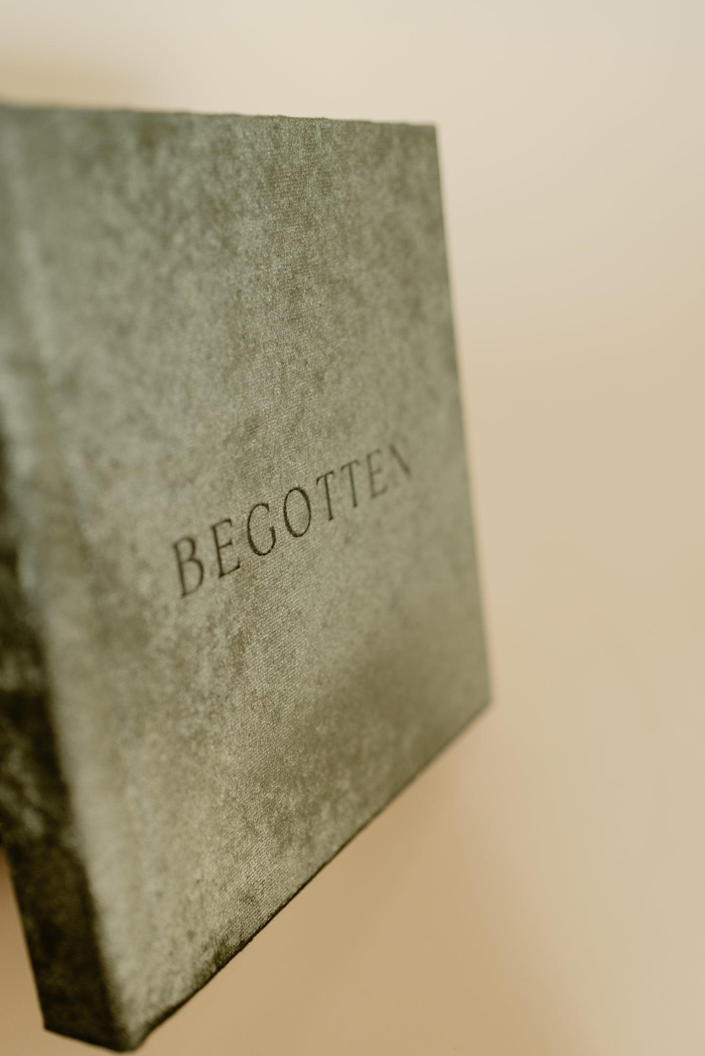 Begotten: Images of Jesus Christ LIMITED EDITION