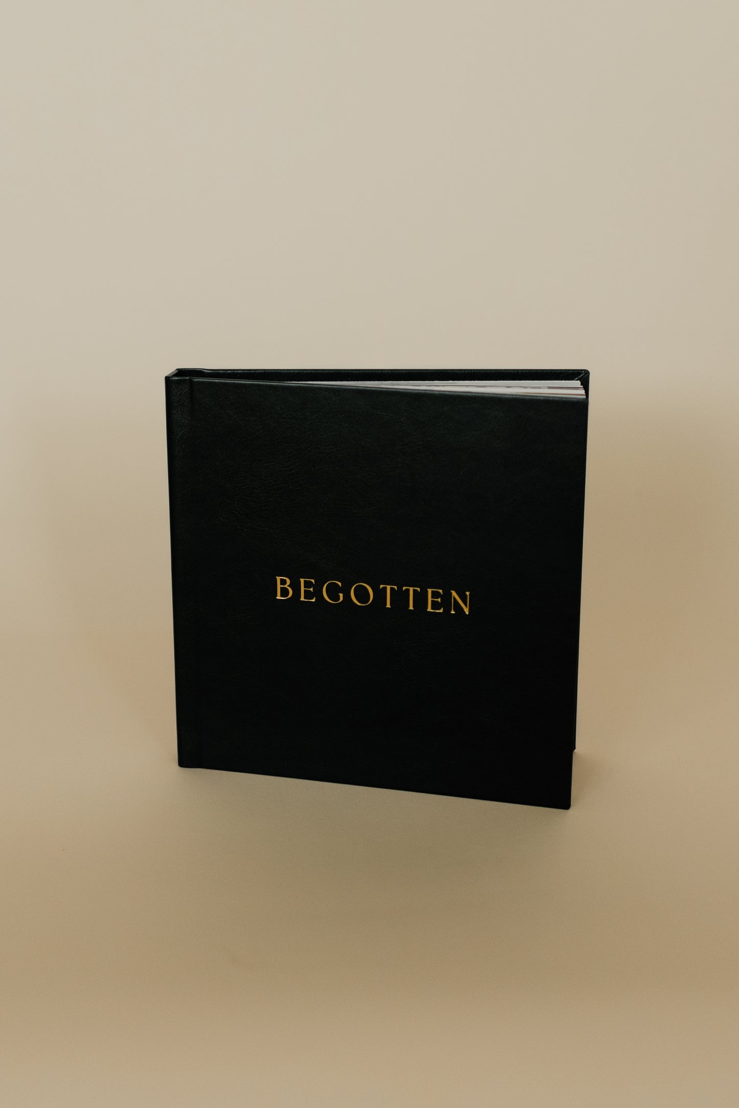 Begotten: Images of Jesus Christ